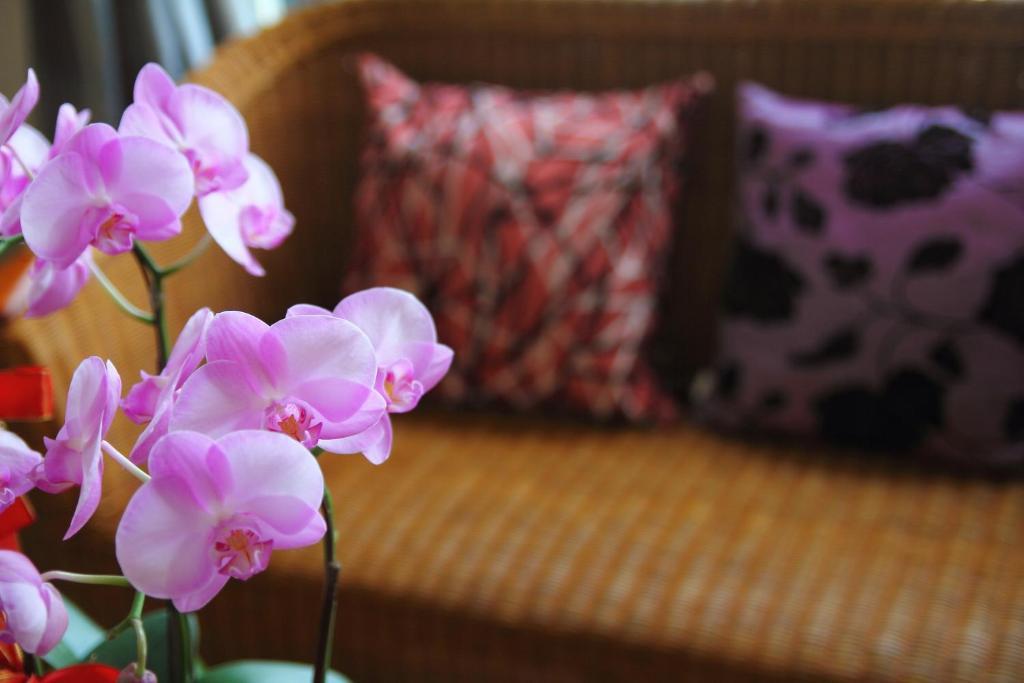 Jimei Homestay Ji'an Buitenkant foto